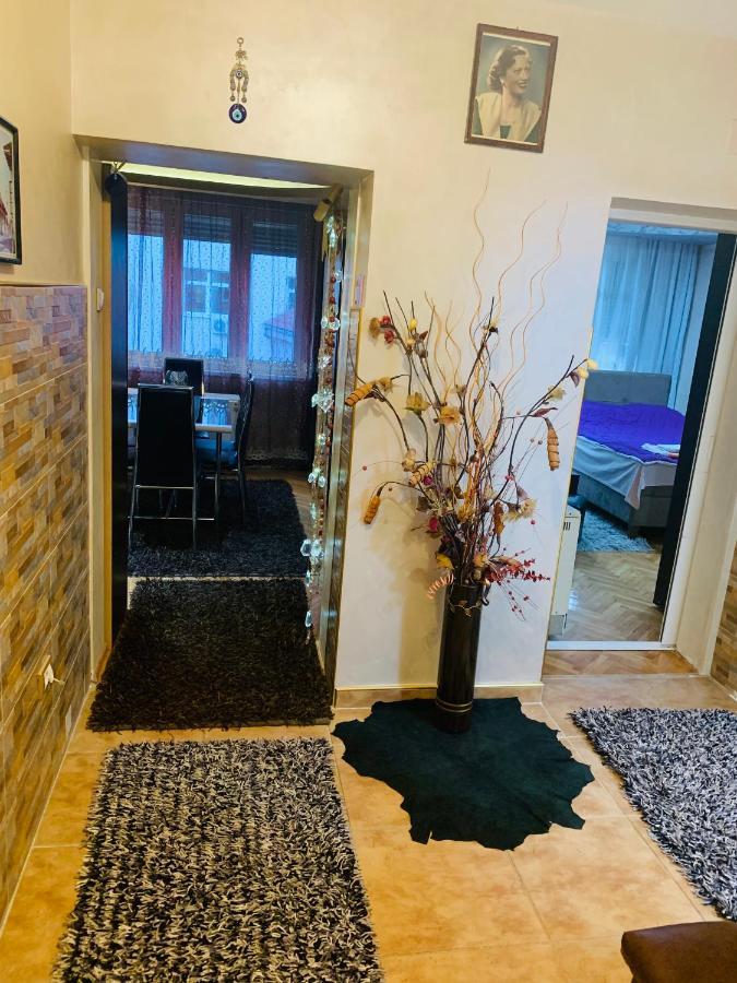 Apartman Valjevo Dk Daire Dış mekan fotoğraf